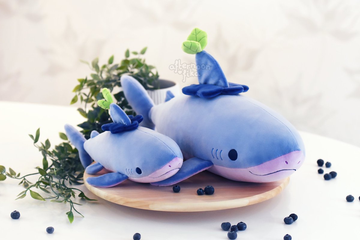 floofyfluff's tweet photo. Blueberry shark plushies 🫐🦈 https://t.co/uSlTXs7M5r