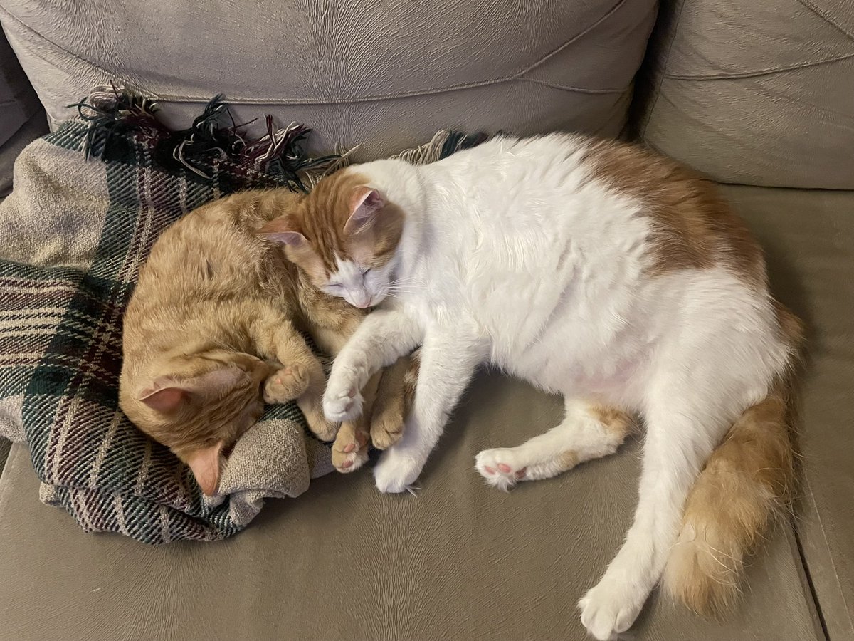 Hepkinize iyigeşeler