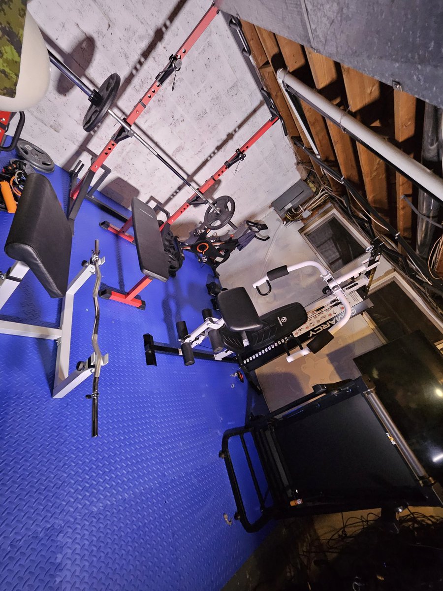 David S. tweet media