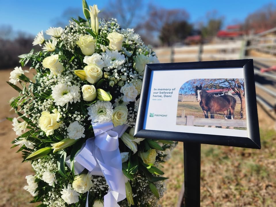Maymont's tweet photo. It is with heavy hearts that we share the news of the passing of Dani, the beloved horse who lived at Maymont for two decades. She passed away at the age of 30 due to a combination of progressive, age-related conditions.

Press release: https://t.co/TKsn5kWyZD https://t.co/WCQjgMw7uE