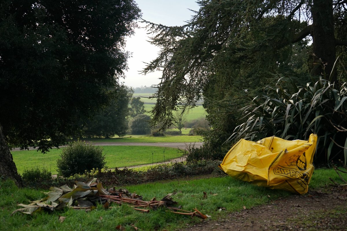 Hestercombe Gardens tweet media