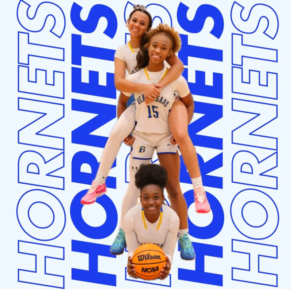 Game Day!!! The lady Hornets face off with Valley tonight in an Area 7 matchup.  Game starts at 5:00 pm.