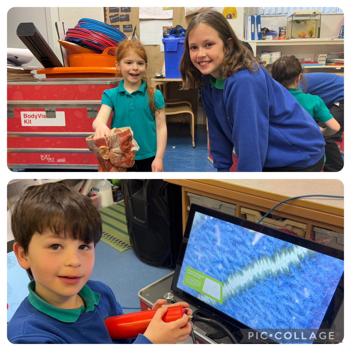 lussprimary's tweet image. We’ve had a fab time with the team from @gsc1 learning all about how our bodies work; from lungs 🫁 to digestive systems, brains 🧠 to memory, and x-rays to infrared heat sensors; we’ve experienced it all. Thank you to the Bodyworks crew. 🙌