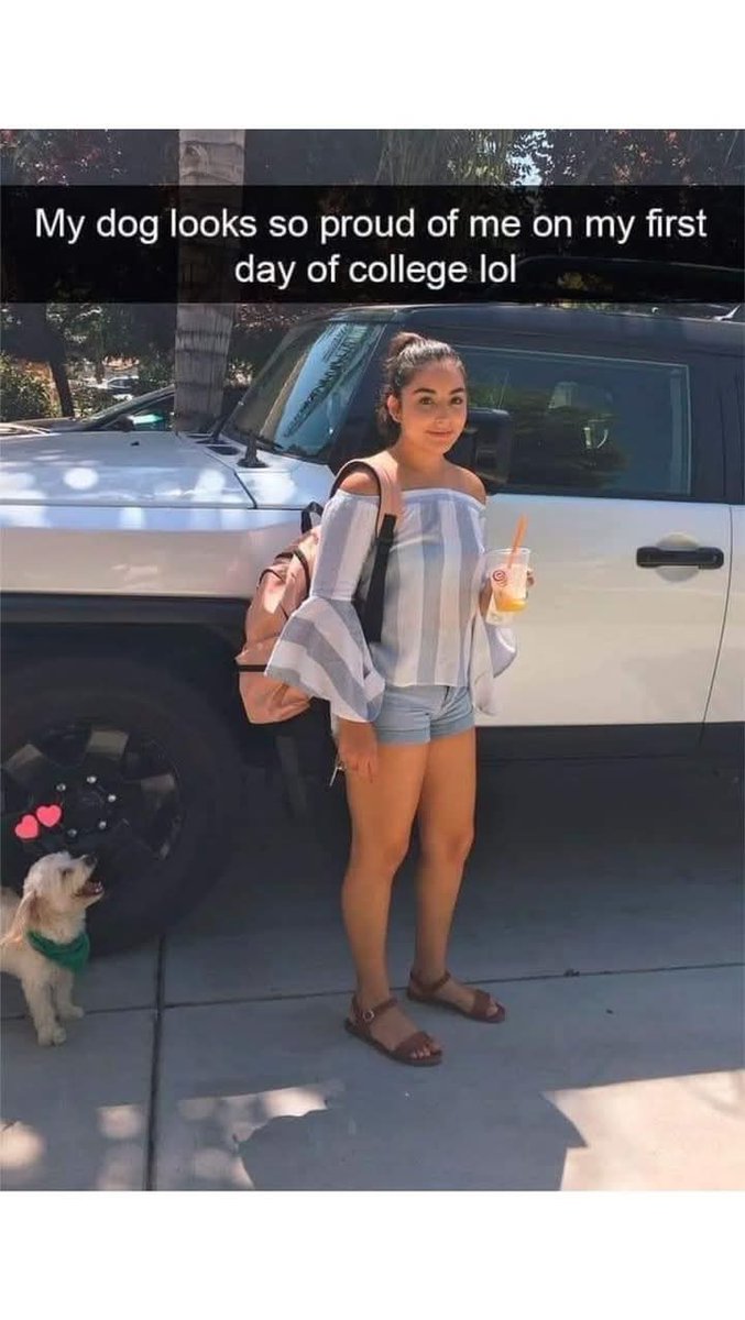 dogloverscore's tweet image. My dog believes in me more than my morning coffee. ☕️ #FirstDayFeels #CollegeBound