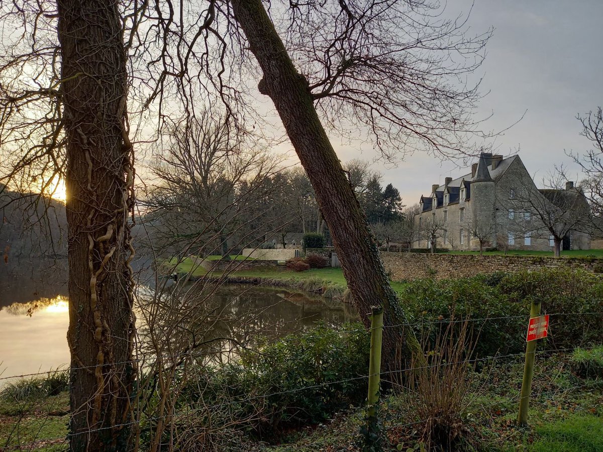 Alan Morvarc'h tweet media