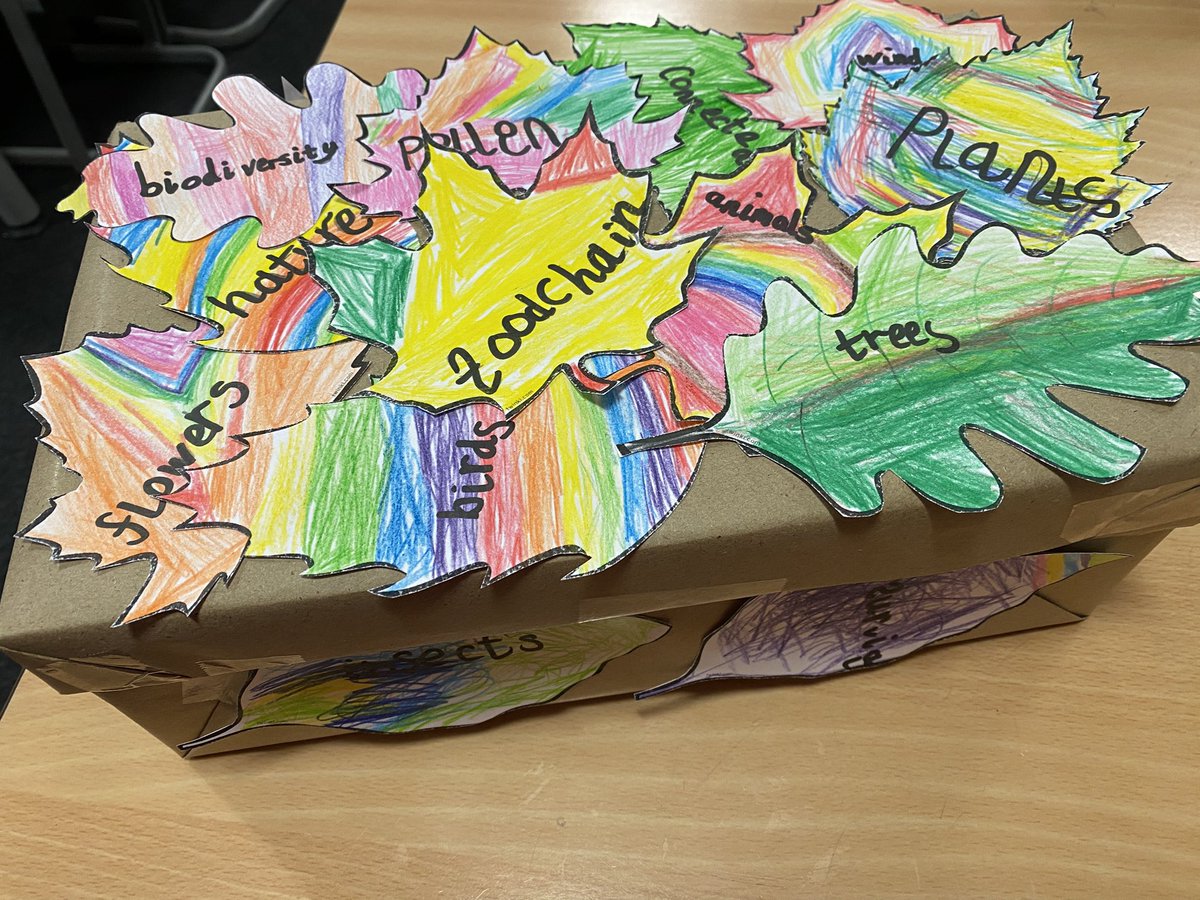 MrsS_Saracen's tweet photo. P2 @saracenprimary really enjoyed their first #OutToPlay session with @EcoDrama1 today. Later, in the classroom, we generated some great vocabulary to decorate our Wonderbox. 
#naturalworld #nature #biodiversity https://t.co/FXjXdpy8fE