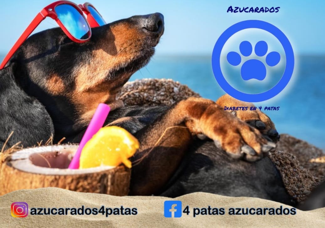 AzucaradosDBT's tweet photo. Si tenes insumos que no uses para tratar la diabetes contactanos, ellos los necesitan.  #GranHermanoAR https://t.co/hPtfl84XWl