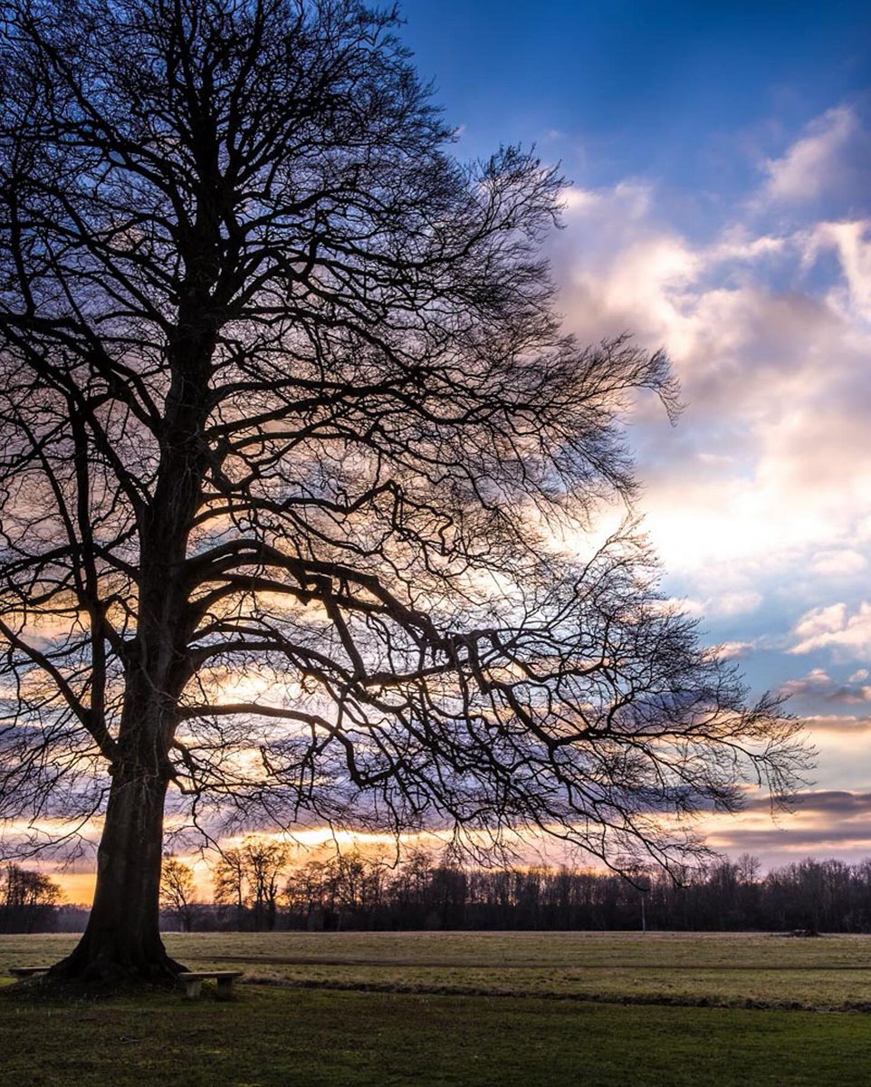 Discover a fresh sense of #wellness this winter at Lucknam Park…

Unwind in our award-winning luxury spa, ride the 500-acre estate on horseback, explore tranquil trails by bicycle or foot, or reconnect with nature in our glorious Cotswold surroundings 🌳

lucknampark.co.uk