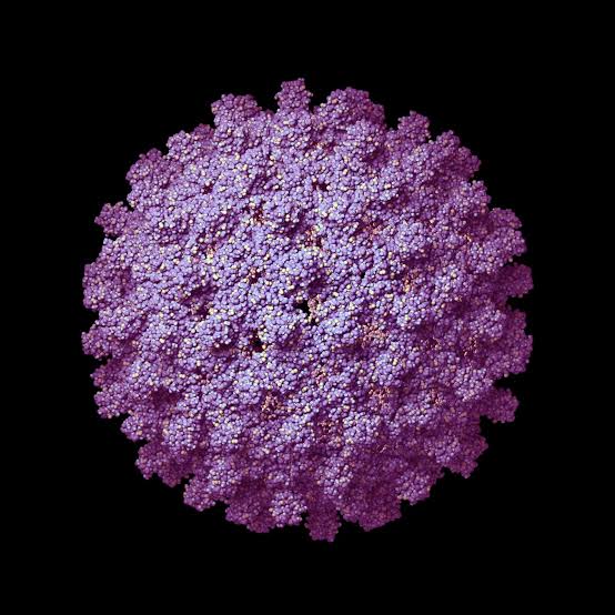 the_beardedsina's tweet photo. If you have ever wanted to know about HEPATITIS VIRUS , how to protect yourself. You'd be shocked 

Open this thread. You will never forget
Also share https://t.co/mYeWdZvjIQ
