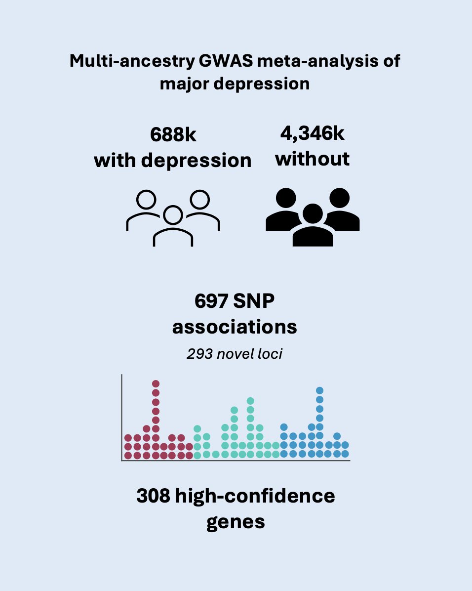 2/n Bringing together the largest and most diverse samples to date, this <a href="/PGCgenetics/">PGC Consortium</a> effort has identified 697 genetic variants and 308 genes linked to major #depression. 

Of these, 293 loci are novel ✨