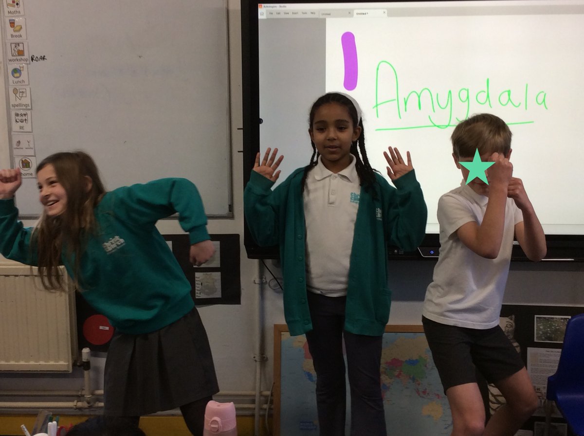 Session two of the @LCreativesTS ROAR workshop was incredible! Pupils learnt how to regulate breathing, the purpose of the amygdala and prefrontal cortex #MentalHealthMatters #MentalWellness