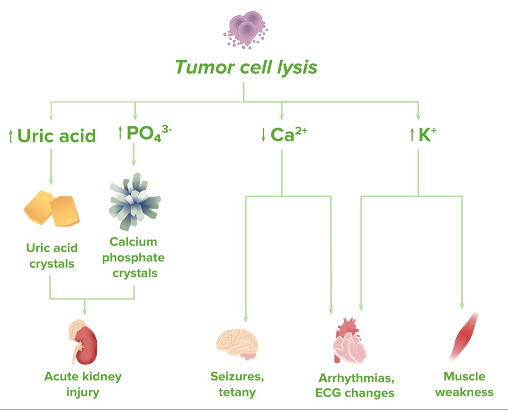 NicoGagelmann's tweet photo. Let's learn hematology in 2025🩸

Day 14: tumor lysis syndrome https://t.co/vMmiZMKSOb