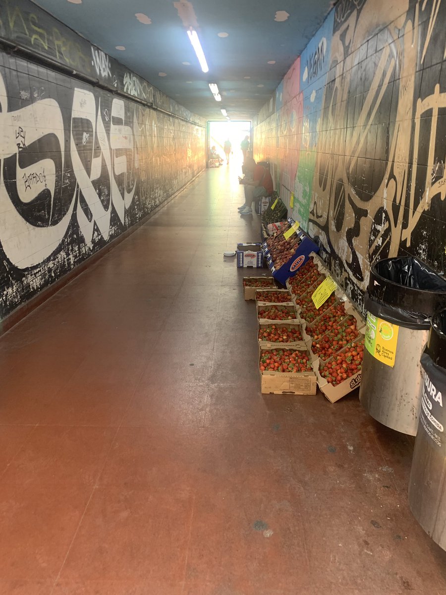 dermlink's tweet photo. @VecinosCon5633
#CABAtierradenadie @jorgemacri @ibaistrocchi @gcba
Para que hacer trámite y registrar comercio? Total, no es necesario tampoco salud publica
Pasaje peatonal Est Carranza #veredonga #palermoRancho https://t.co/NG2bUxmqiK