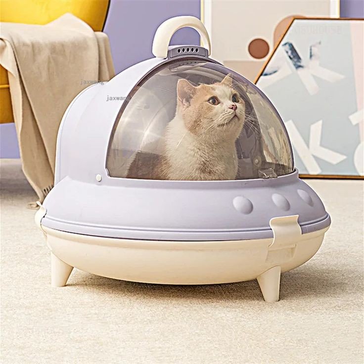 Diese Katzentoilette erinnert an was? 🙀😹