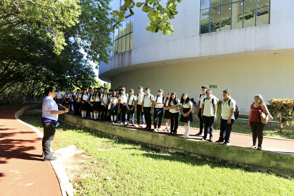 Unicaribe ingresa al prestigioso ranking mundial, UI Green Metric, por su compromiso con la sostenibilidad