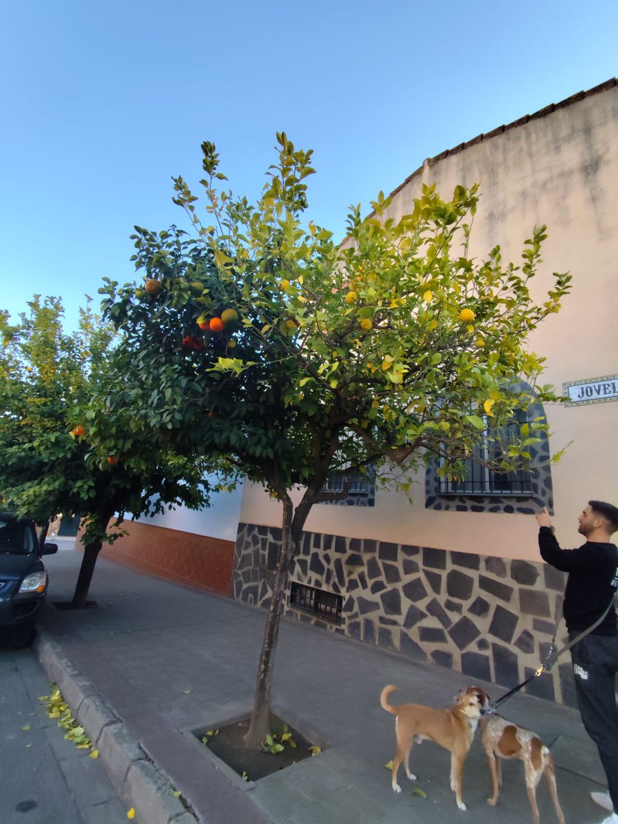 Christian Xavier 🍣 Bluesky 🦋 tweet media