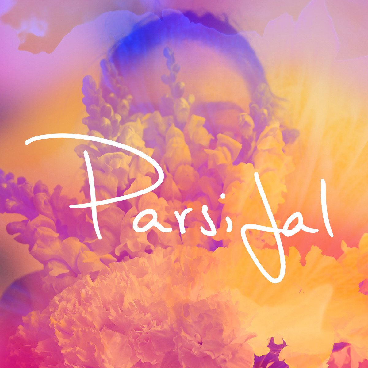 Festival 2025 sees our first ever production of Parsifal. Experience the power and transcendent beauty of Wagner’s final opera.

On stage 17 May – 24 June.

Public booking opens Sunday 2 March.