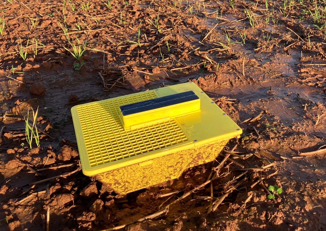 Bayer4CropsUK's tweet photo. 🌨️ After the rain and snow, it's time to give your #MagicTrap traps a good clean! 🧼 
 
Bring them in and ensure they're ready for the 2025 season. 

Find more advice on maintenance and storage here:
https://t.co/7IgEXDql7Q https://t.co/vRtFrALafI