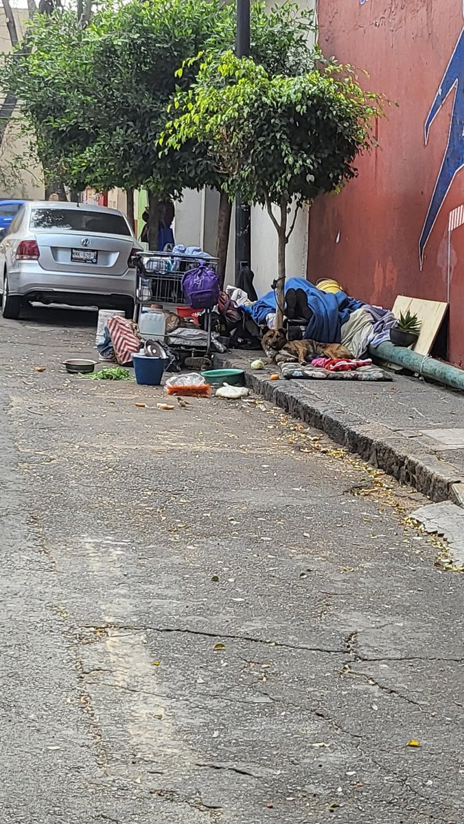diana_zb's tweet photo. @AlessandraRdlv Que padre que festejemos tu cumple pero ayúdanos a que las personas en situación de calle que maltratan animales,que secuestran la calle, que se orinan y drogan cerca de escuelas y niños sean reubicados no es posible que ahora además de animales tengan niños en lugares insalubres https://t.co/9vA1ROdTiP