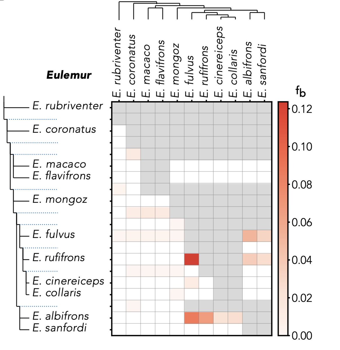 Joseph Orkin tweet media