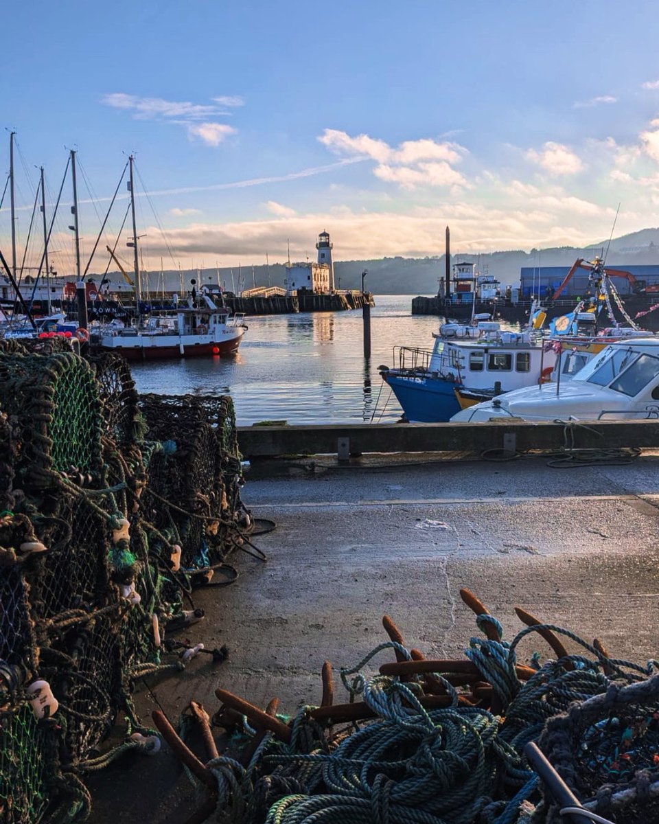 MOR MUSIC - YORK tweet media