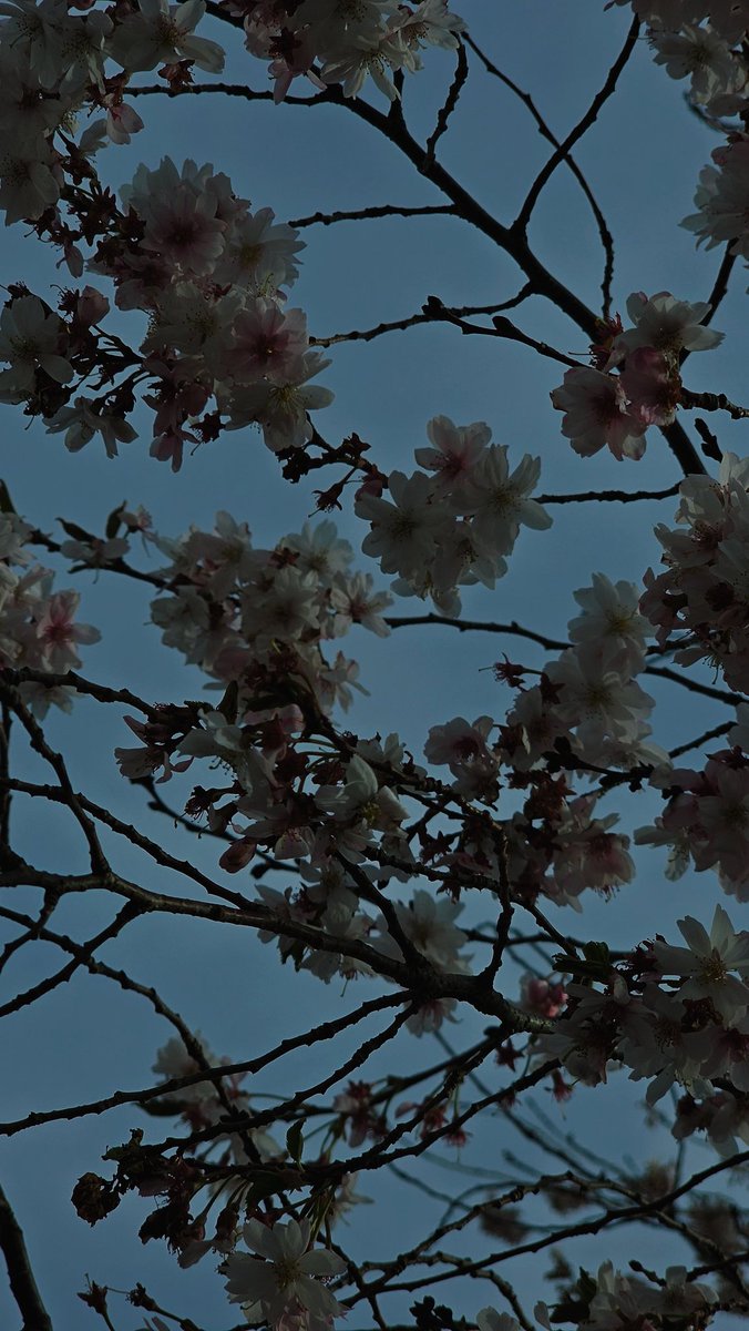 dma3rd's tweet image. 