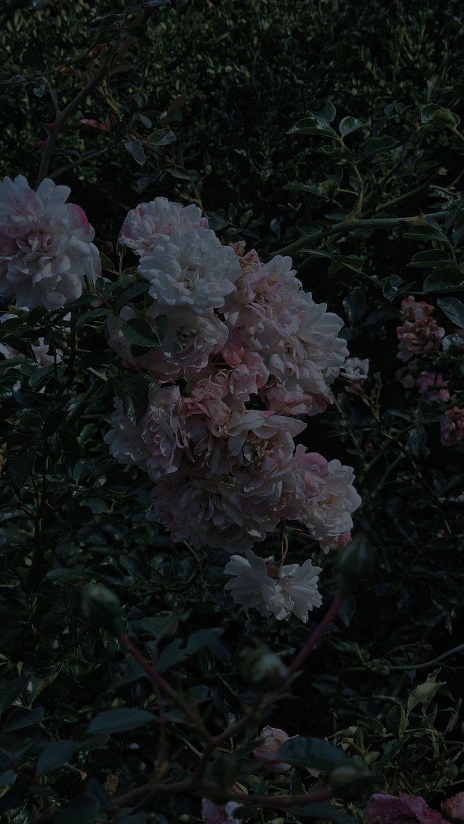 dma3rd's tweet image. 