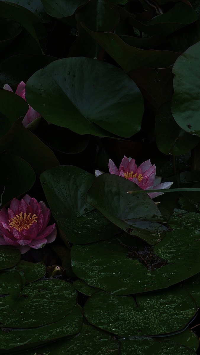 dma3rd's tweet image. 