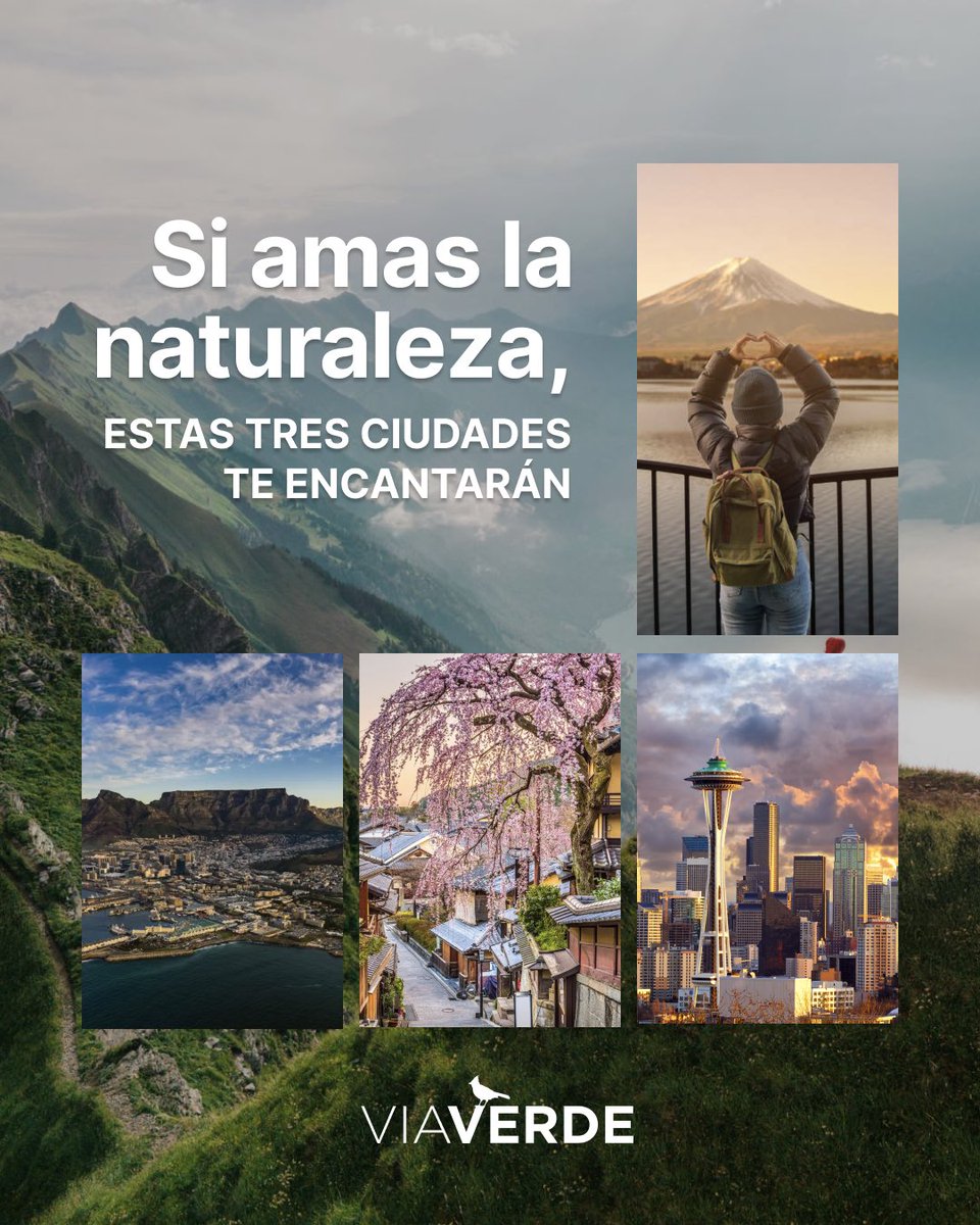 viaverde_planet's tweet photo. ¡Espera! Si eres una persona viajera, y además te encanta estar en contacto con el planeta, esto te interesa.

#viajes #naturaleza #relax https://t.co/FHPuvQXHaO