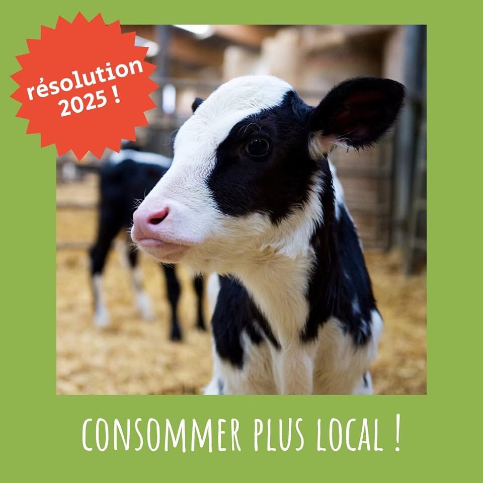✨ Notre seconde résolution de 2025 : consommer plus local ! ✨
De nombreux producteurs Alsaciens proposent leurs excellents produits chez Coopalim 🍎🥕

📷 Ferme Saint Ulrich à Durningen

#coopalim #cooperative #strasbourg #economiesocialeetsolidaire #alsace #bio #resolutions
