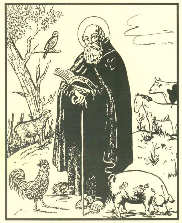 bisbatgirona's tweet image. 😇 #Santoral 17/1/25. Antoni Abat, patró dels #animals i #ramaders. Conegut com a "sant Antoni del porquet" (a la imatge). Amb ell, finalitza la Setmana dels Barbuts. Almà, Diodor, Marià, Mèrul, Leonil·la, Rosalina, Milwida.