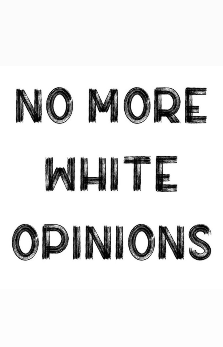 BeeLibertad tweet media