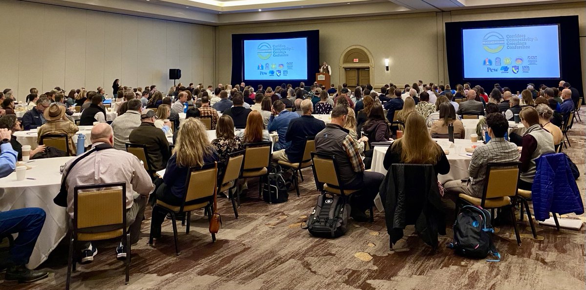 johnagallo's tweet photo. Excited to present at the Corridors, Connectivity, and Criossings Conference. The gathering. #CCCC25 https://t.co/LC3M9O7uHY