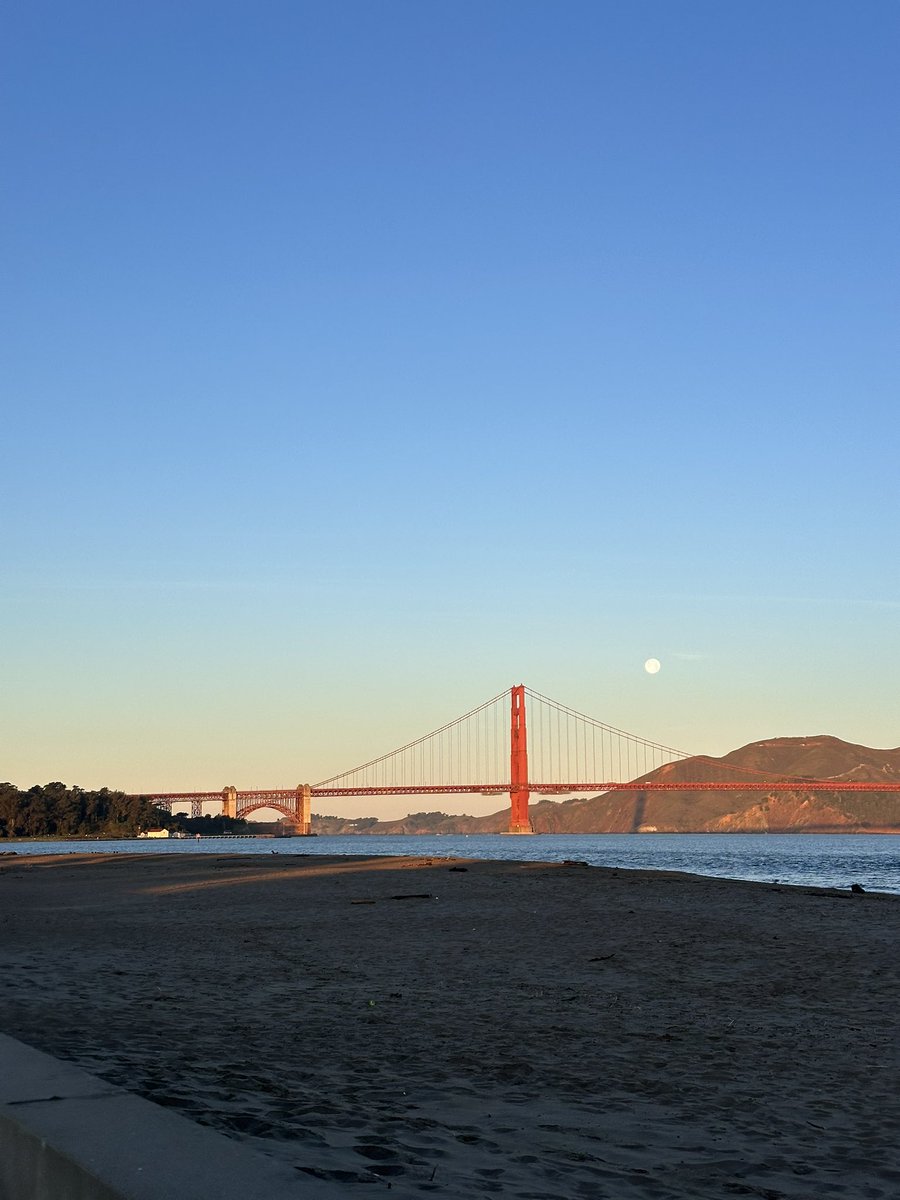 morning walks in San Francisco constantly reminding me how unreal the city is