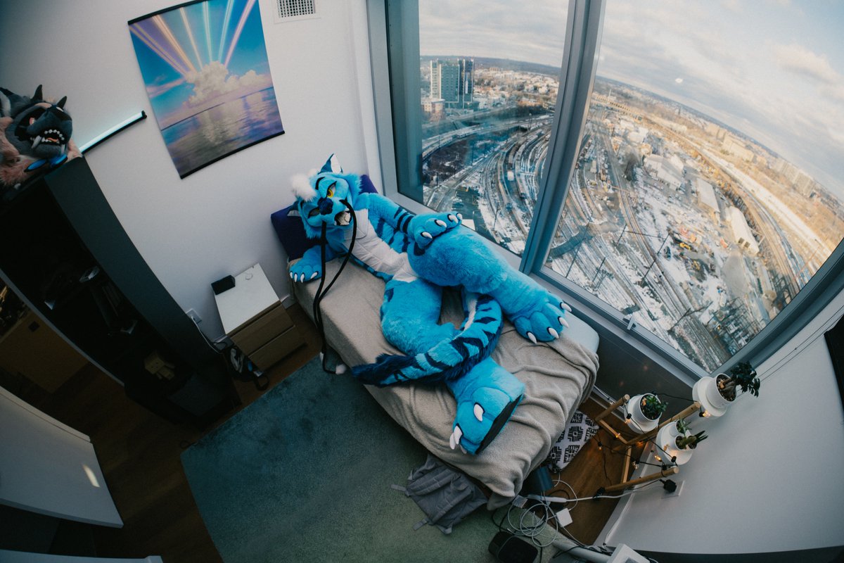 Got plenty of space on this bed, why don't you come enjoy the view and some derg snugs :3

📸 - <a href="/Flaumy_/">Flaumy</a>