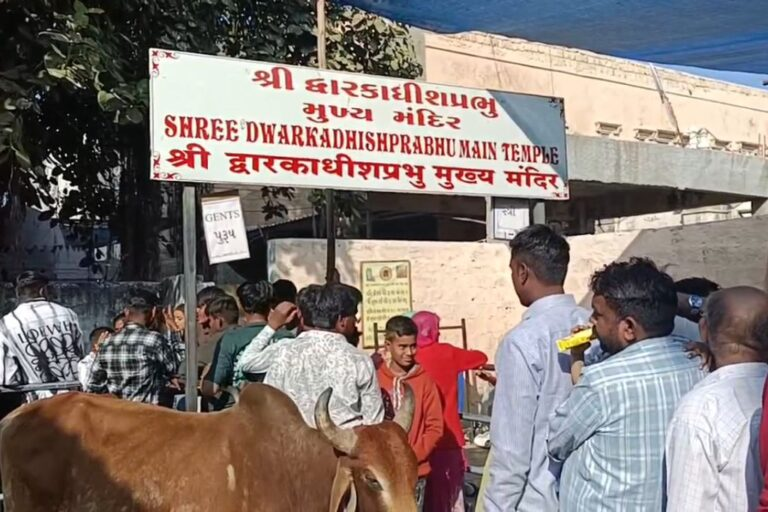 NewsCapitalGJ's tweet photo. બેટ દ્વારકામાં ચાર દિવસ બાદ દ્વારકાધીશ મંદિર ખૂલ્યું, ભક્તોની ભારે ભીડ જામી
વધુ માહિતી માટે વાંચો ⬇:
https://t.co/x6iLE2G1U8
#BetDwarka #DwarkadhishTemple #TempleReopening #DevoteesGathering #SpiritualJourney #HolyPilgrimage #ReligiousFaith #CulturalHeritage #DivineBlessings #SacredSite