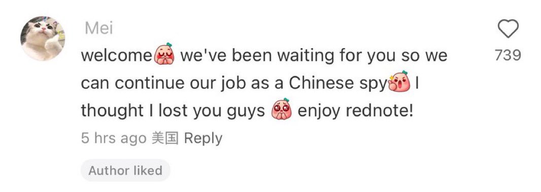 tiktok comments tweet media