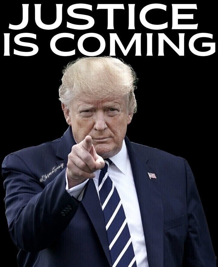 USC Gamecocks tweet media