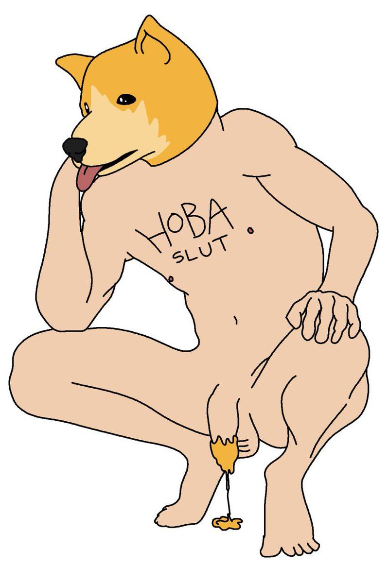 All dobaggies and dobros will be converted into $HOBA sluts