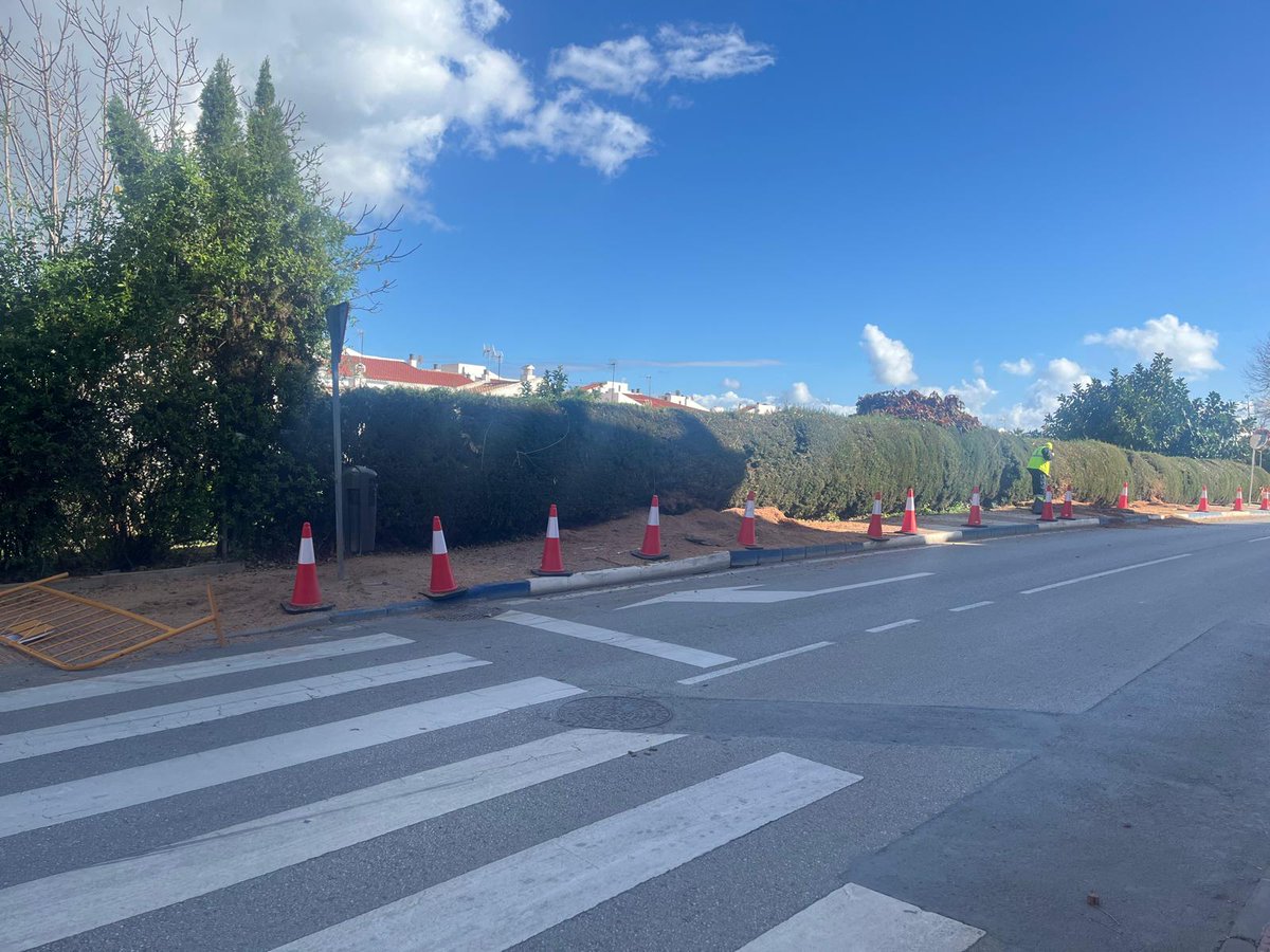 Hoy también <a href="/OSPSanPedro/">OSP</a> ha lamentado que no se haya cumplido la promesa de solo talar tres árboles en la zona de Fuente Nueva debido a las obras que se están acometiendo y finalmente se hayan perdido siete ejemplares. 
#SanPedroAlcántara #Actualidad