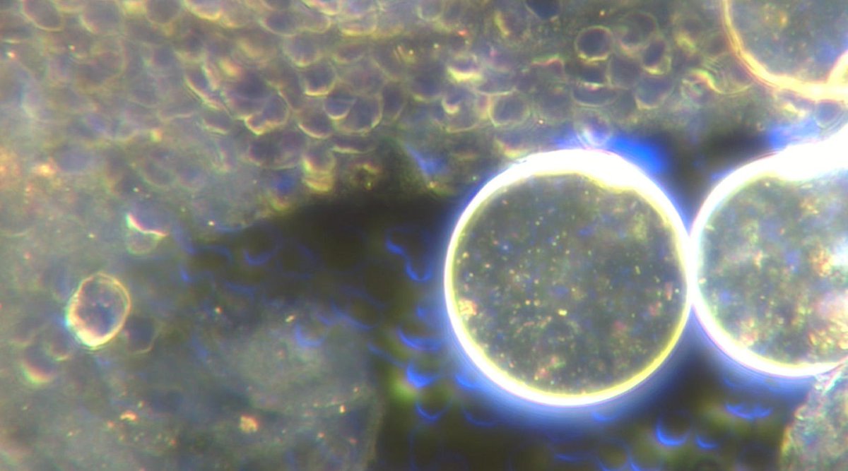 Pillars & Strategies tweet media