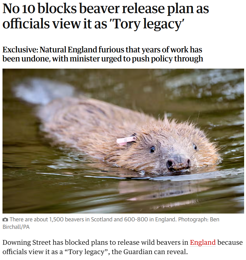A government of stupid fucking cunts