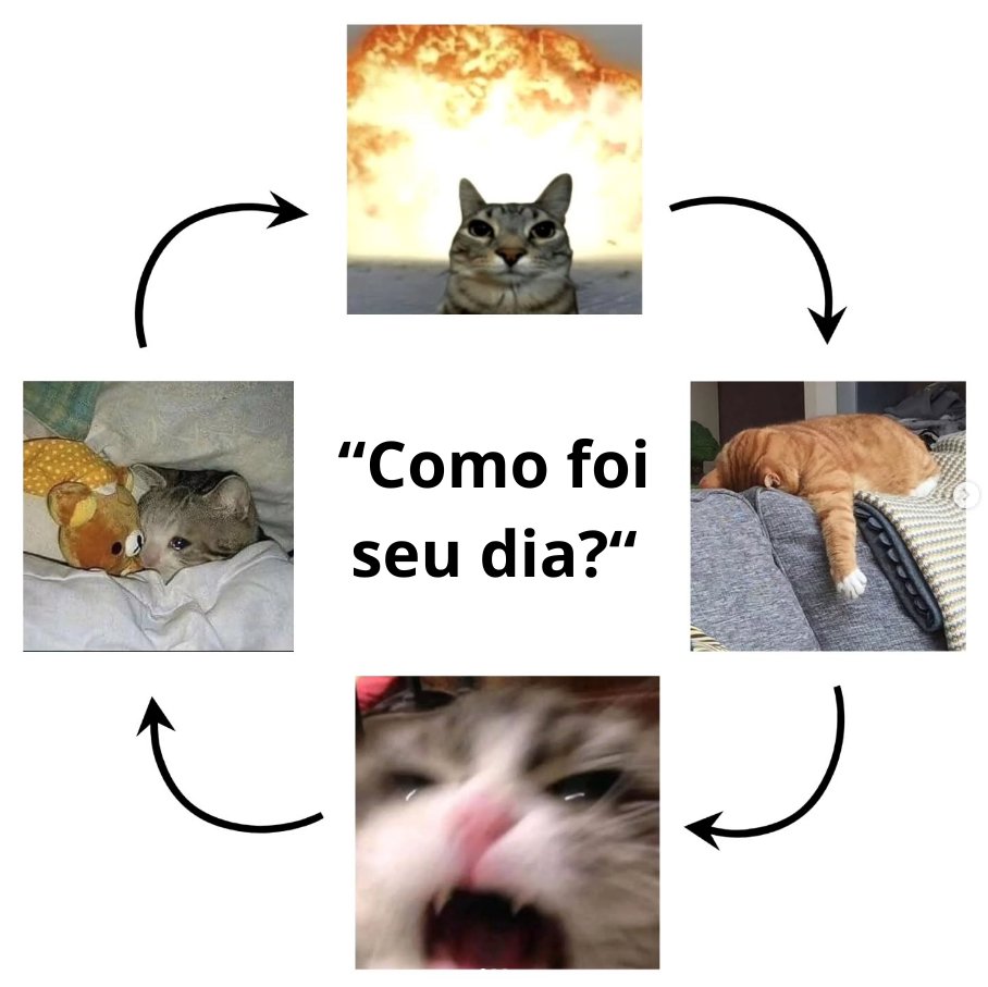 tem 20 dias que começou o ano e eu já estou assim