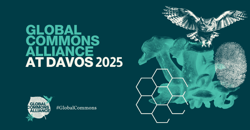 globalcommonshq's tweet photo. 📢 Next week the GCA @SafeJustPlanet, @SBT_Network and #AccountabilityAccelerator will be at #WEF25 in #Davos, to collaborate with leaders on accelerating just and inclusive systems change to safeguard the #GlobalCommons.

See a calendar of events we are engaged with. 👇