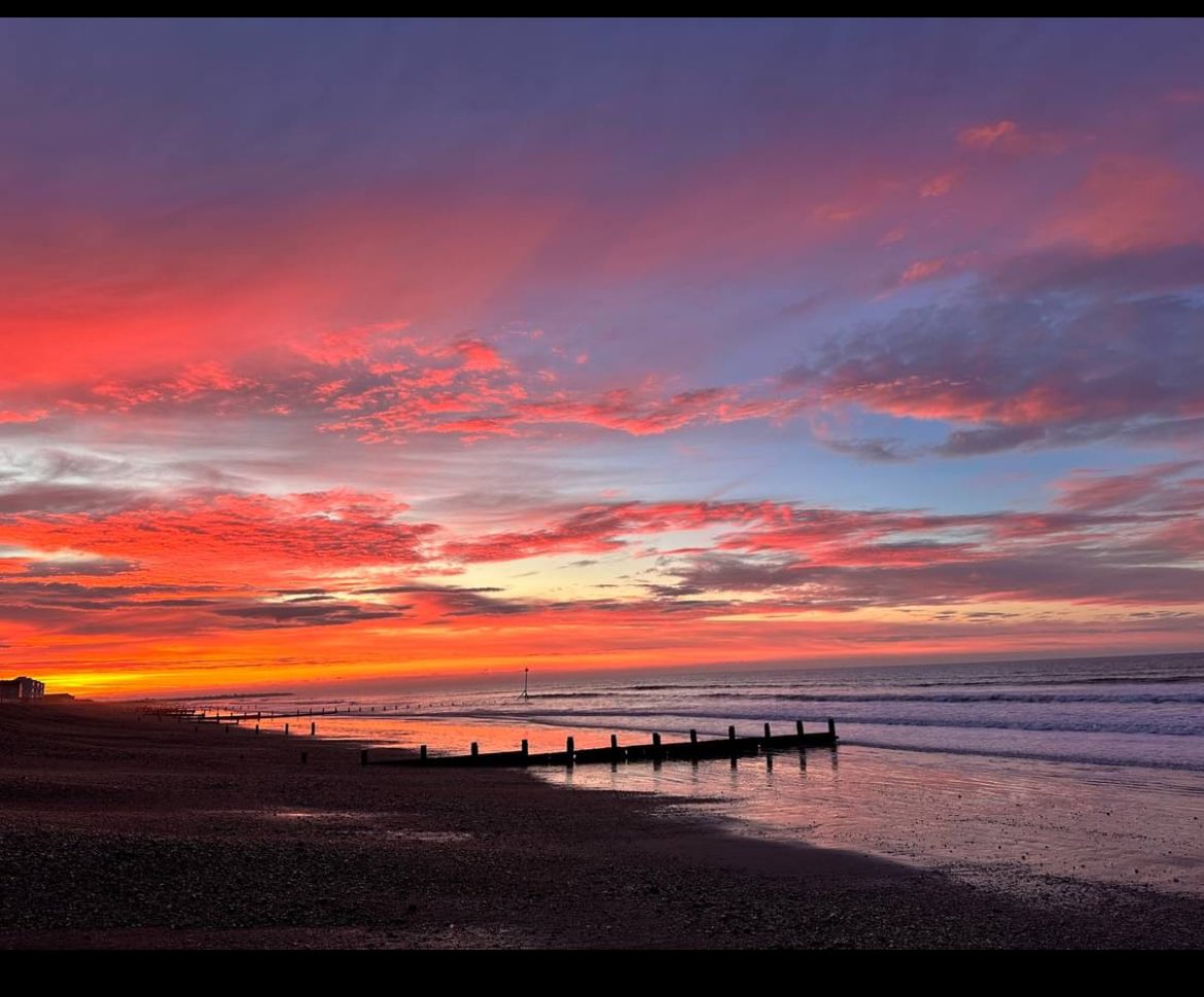 Nikki de Villiers 🩵 tweet media