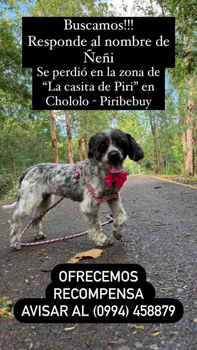 salvandohocicos's tweet photo. Xfa difundir https://t.co/AbfyavLi9v