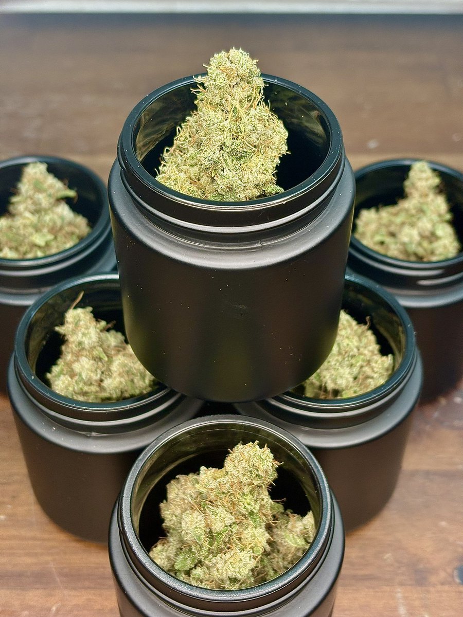 CannCure Cultivation (@canncure_ri) on Twitter photo Introducing S.A.G.E. in collaboration with Belushi Farm! 🌿 Experience this heavy sativa soon at <a href="/motherearth_ri/">Mother Earth Wellness</a> Introducing S.A.G.E. in collaboration with Belushi Farm! 🌿 Experience this heavy sativa soon at <a href="/motherearth_ri/">Mother Earth Wellness</a>