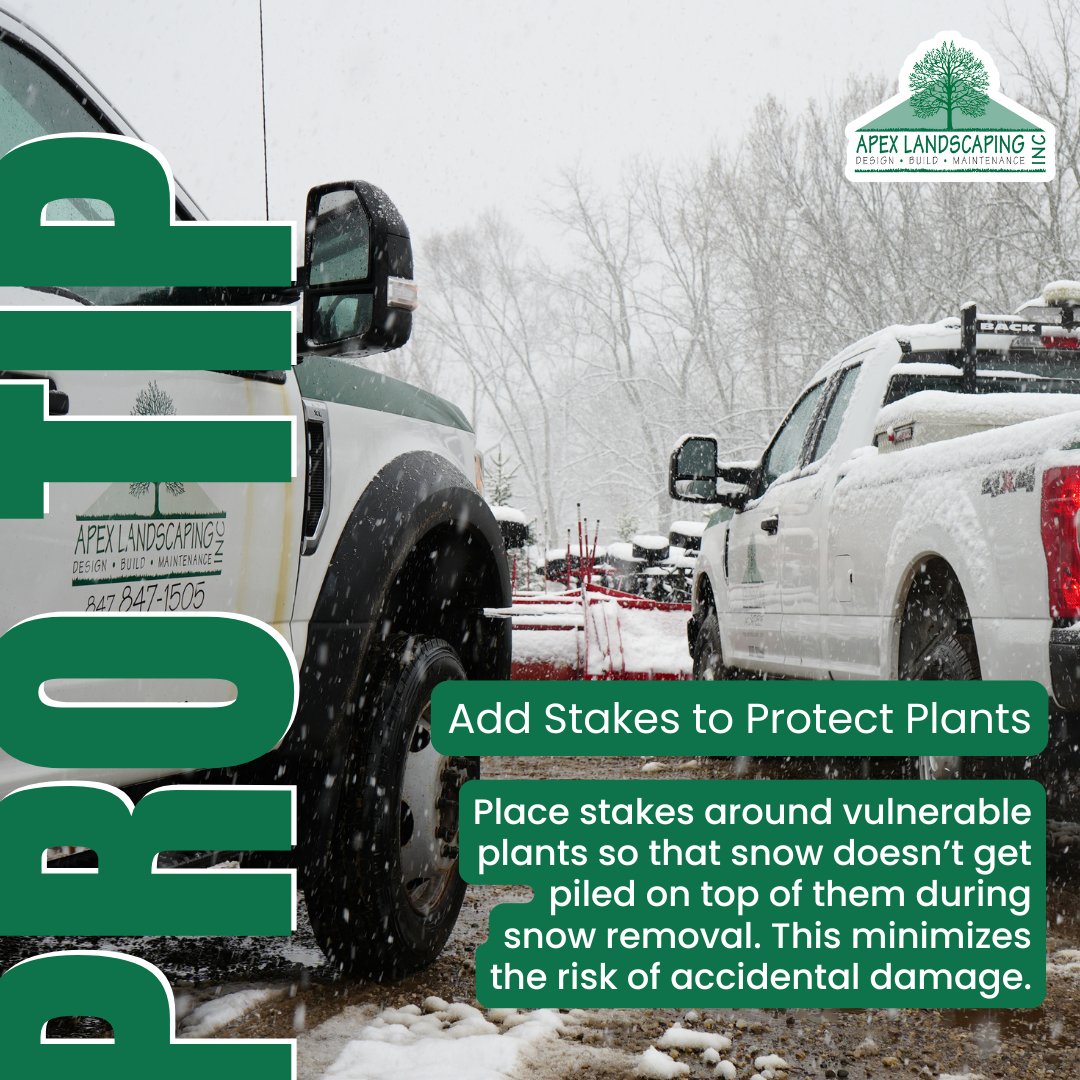ApexLandscaping's tweet photo. Place stakes near plants to avoid accidental damage from snow shovels or plows. Protect your garden during winter! #WinterProtection #GardenCare #ApexLandscaping https://t.co/n372erdYFh