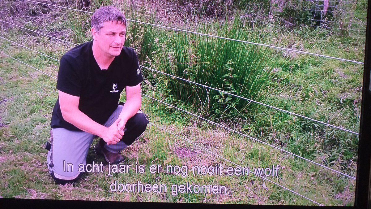 LeenderbosNatuurlijk tweet media