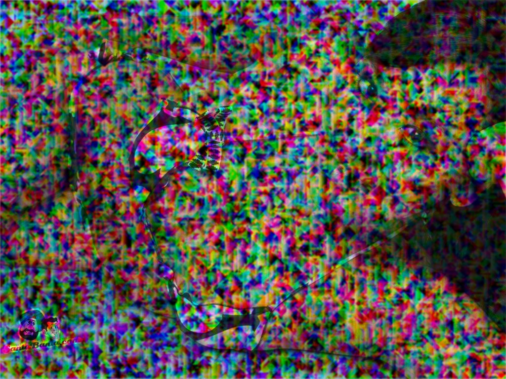 Dr K.quai⚡💵 tweet media